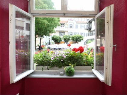 Foto: Schwanen